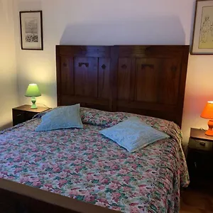 Stella , Cecina (Livorno) Italia
